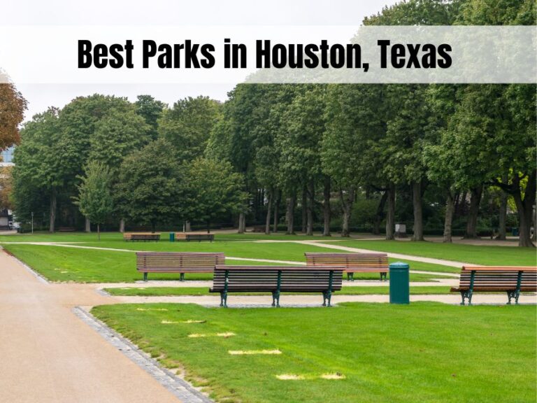 The Best Parks in Houston Where Locals Go to Unwind