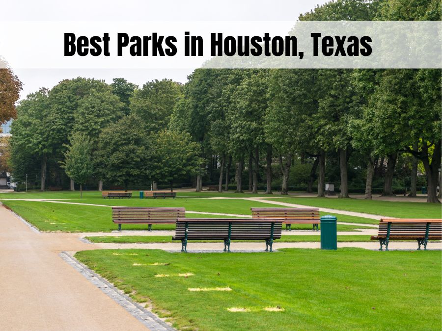The Best Parks in Houston Where Locals Go to Unwind